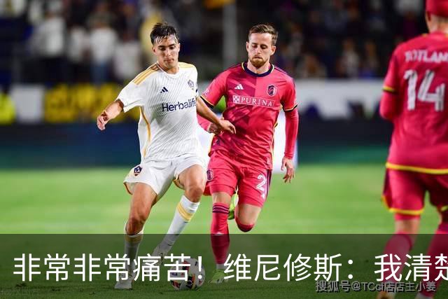 非常非常痛苦！维尼修斯：我清楚巴西很多没夺冠了，向球迷们致歉